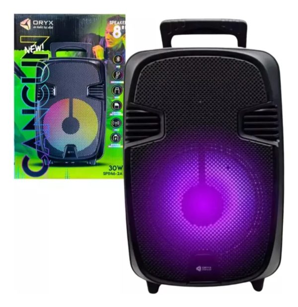 Parlante Portatil Bluetooth C/ Microfono 8 Pulgadas Negro